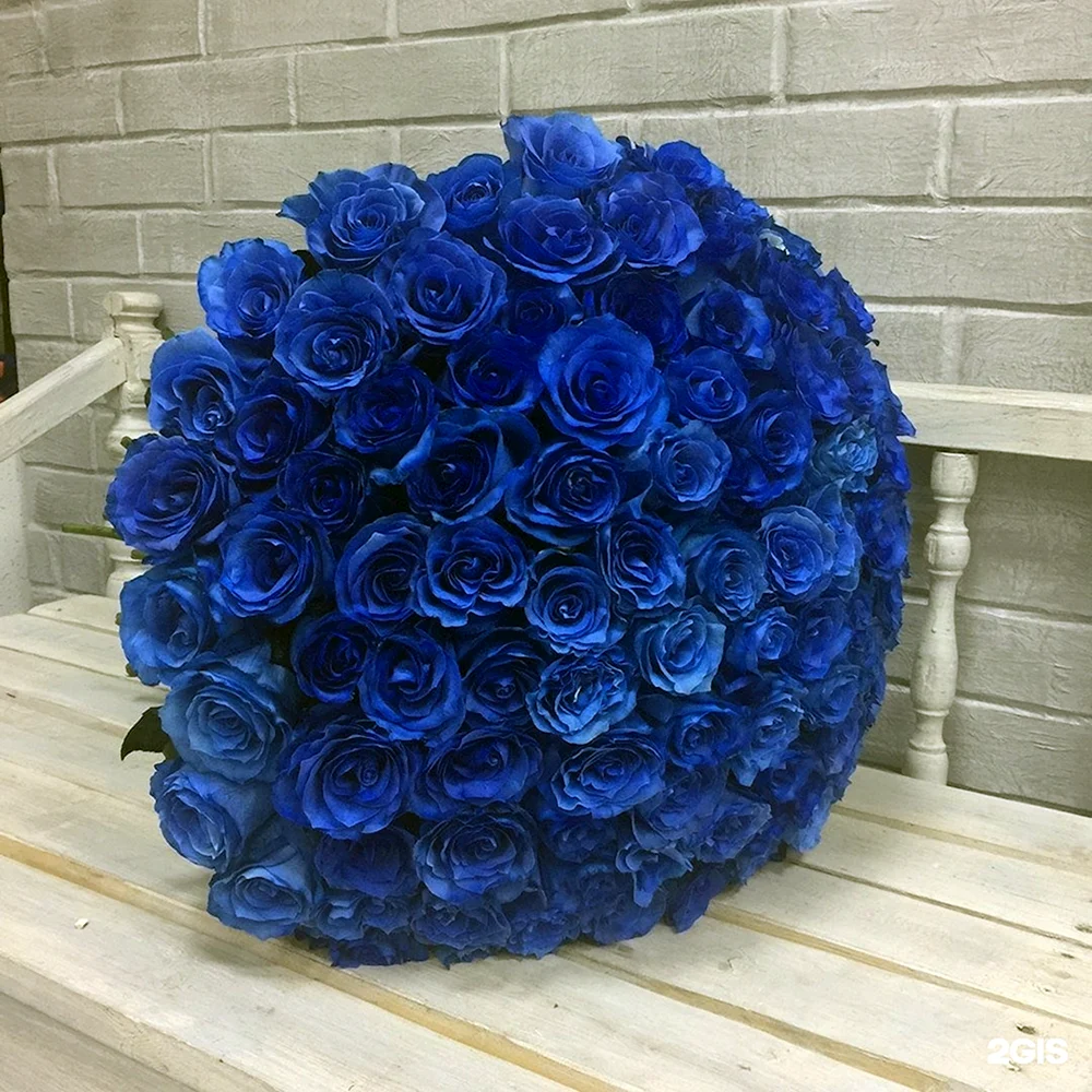 101 Голубая роза