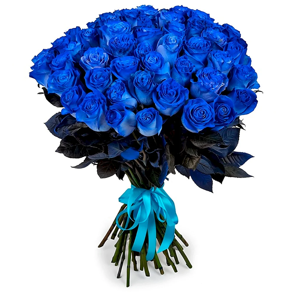 51 Синяя роза