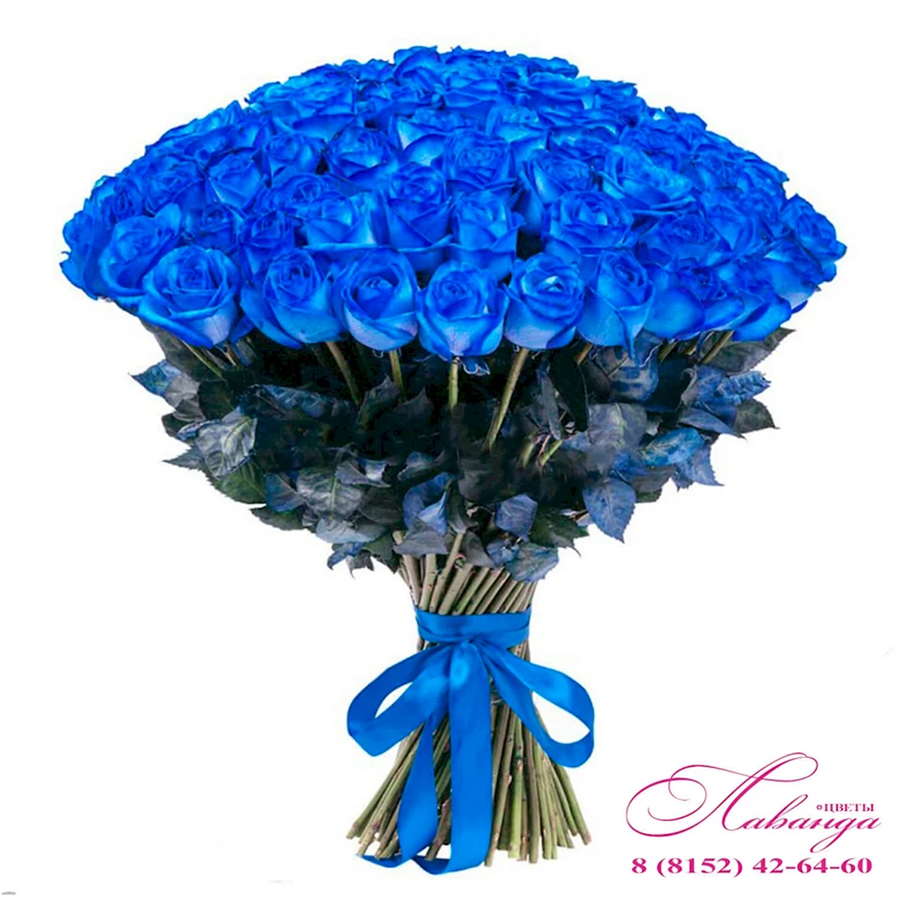 Букет 101 синяя роза