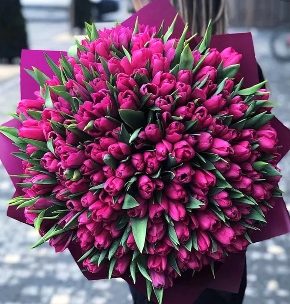 Букет 501 тюльпан