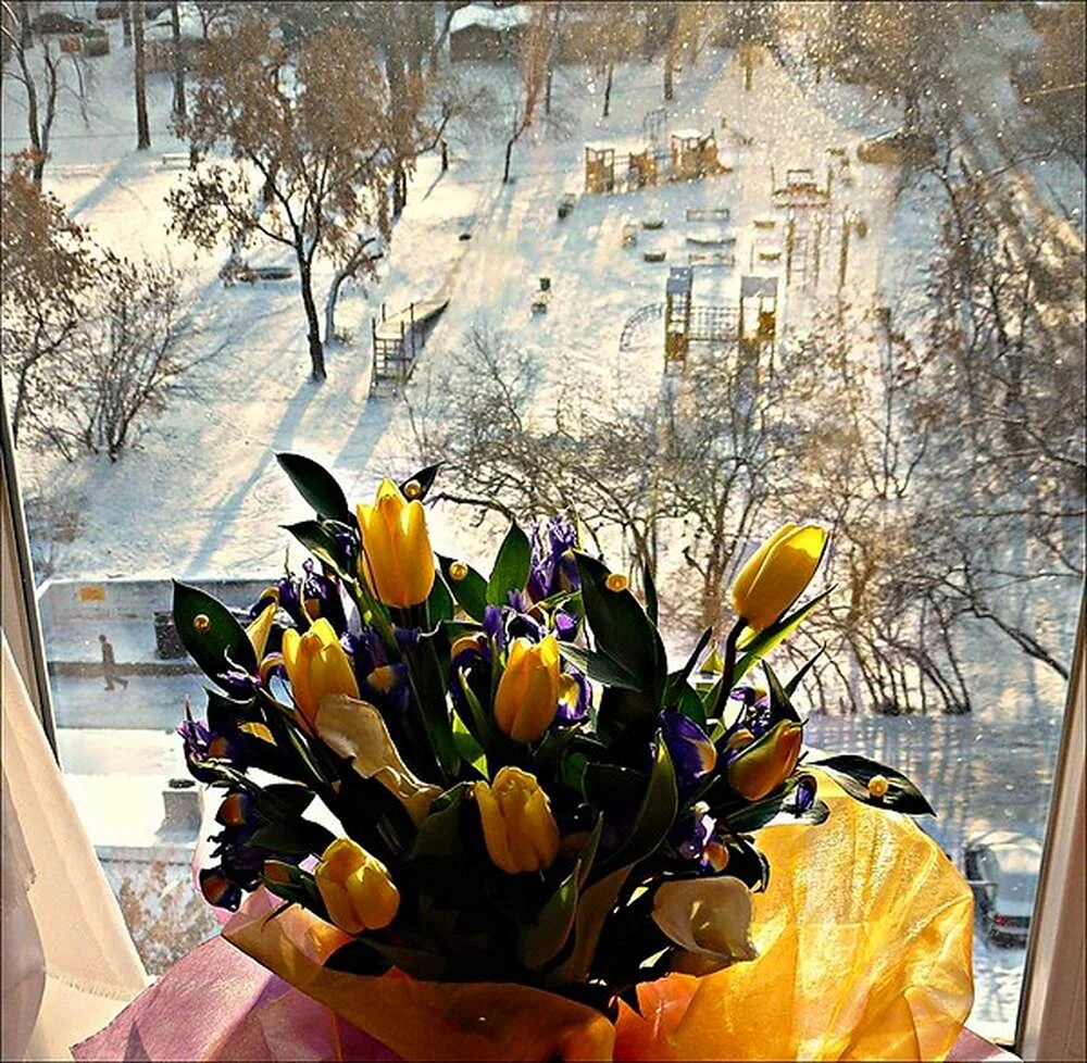 Букетик цветов на зимнем окне