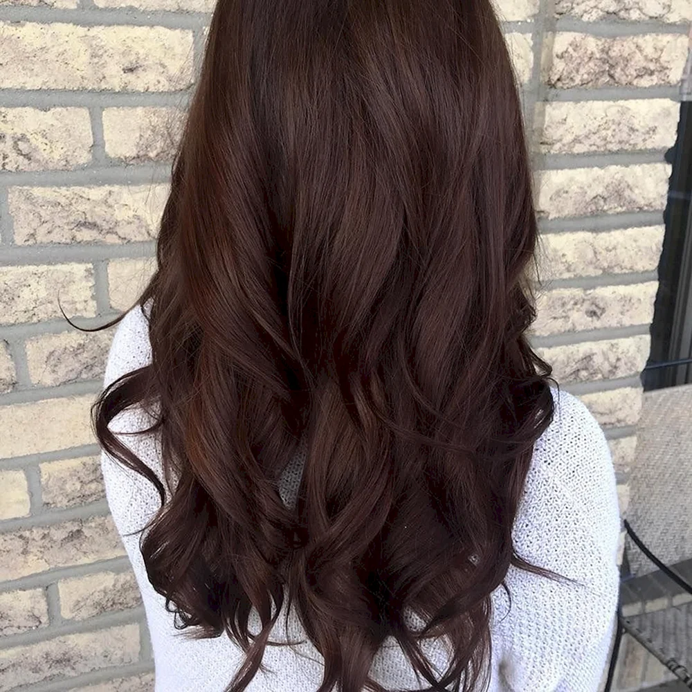 Chestnut Brown цвет волос