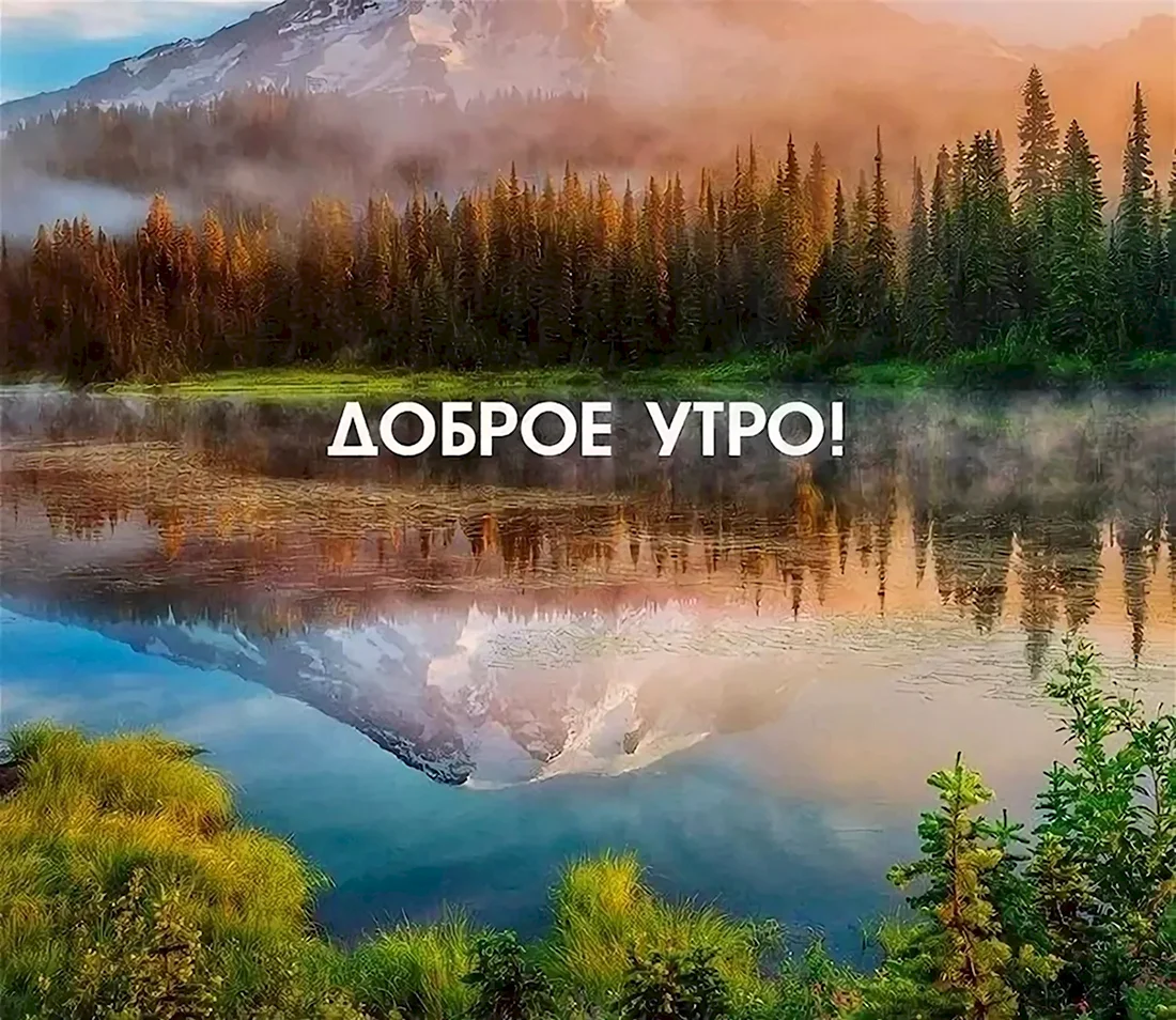 Доброе утро природа