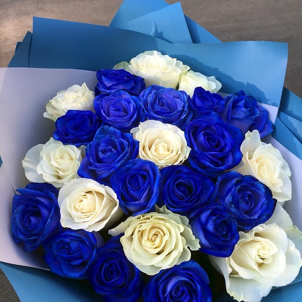 Эквадорские синие розы