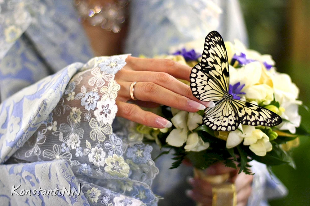 Фотосессия Свадебная с бабочками