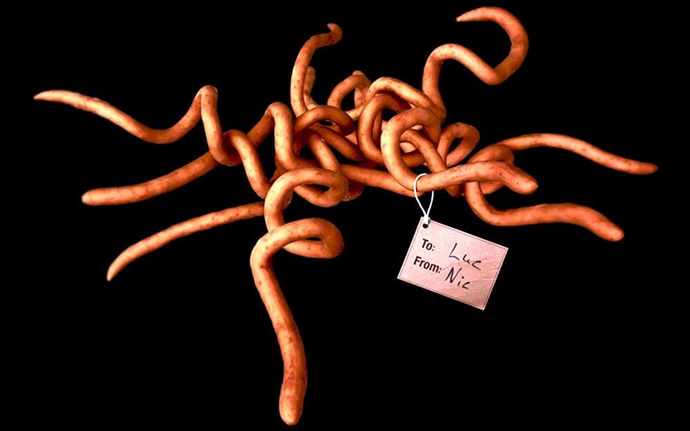 Гигантский микроб сифилис