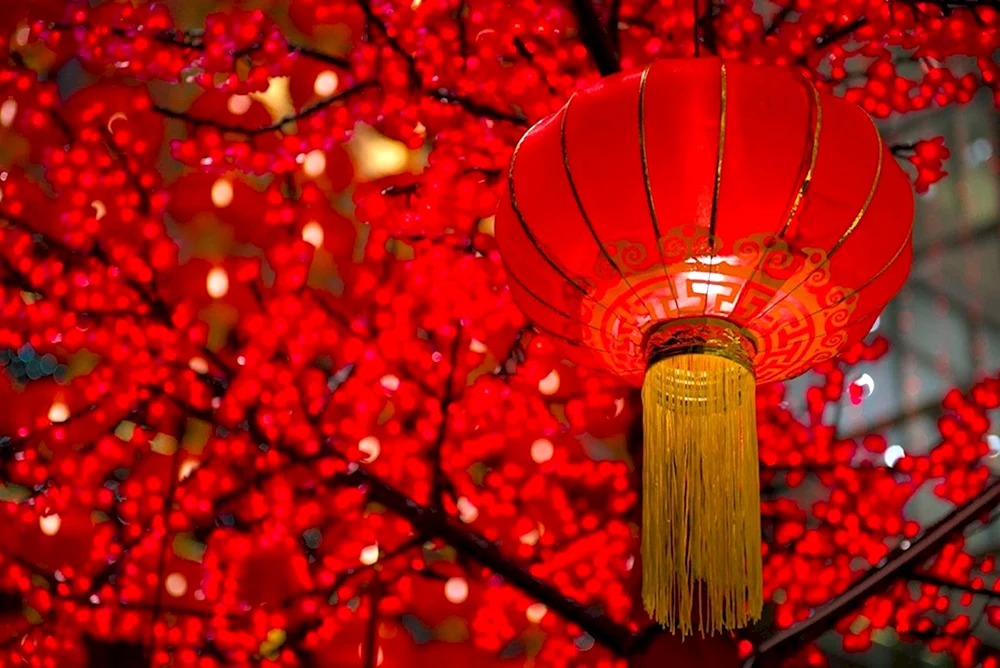 Китайский новый год Chinese New year