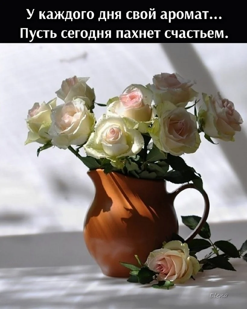 Красивые цветы в вазе
