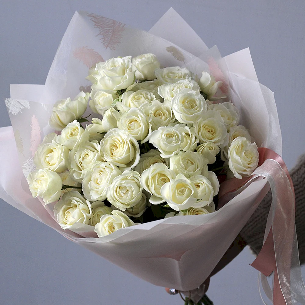 Кустовая роза Бомбастик белая