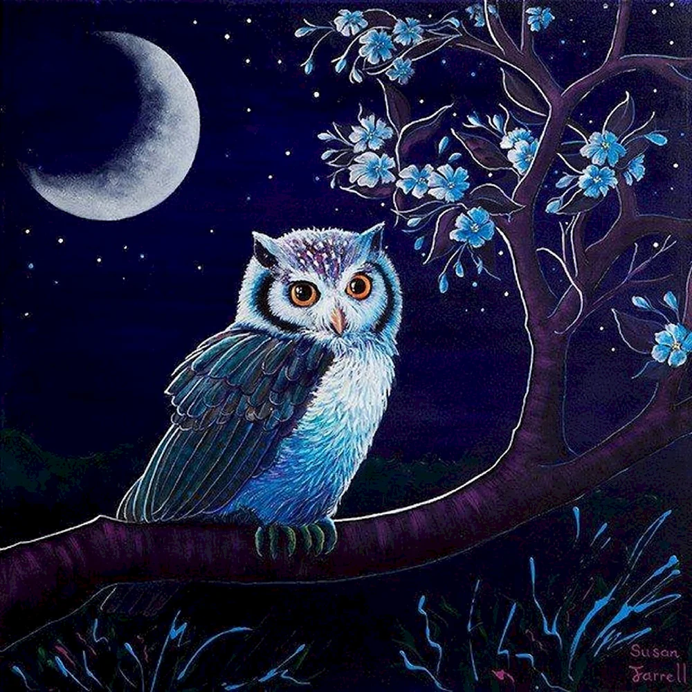 Ночная Сова.Night Owl.1993