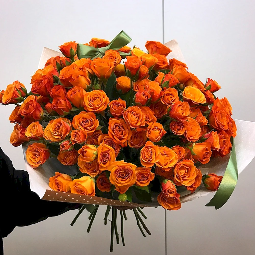 Оранжевые кустовые розы
