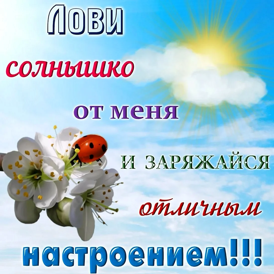 Отличного настроения