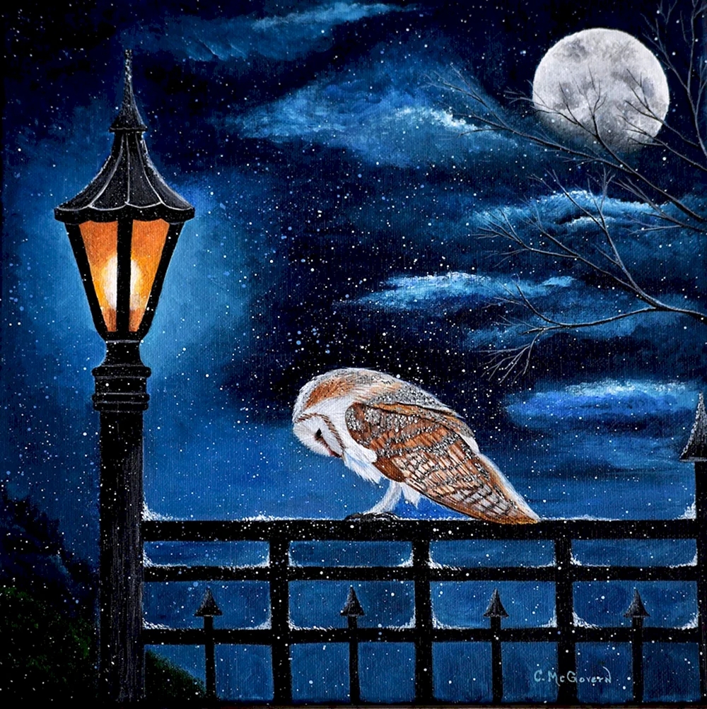 Пейзаж ночной с совой