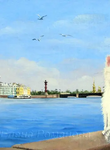 Петербургские коты Елены Романовой