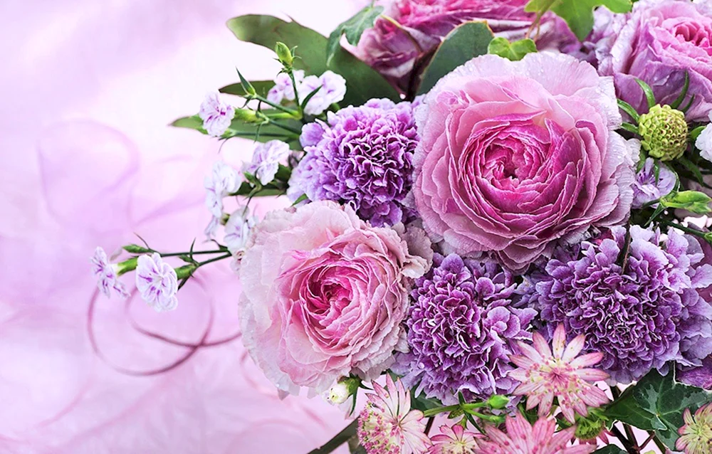 Пионовидные розы фиолетовые