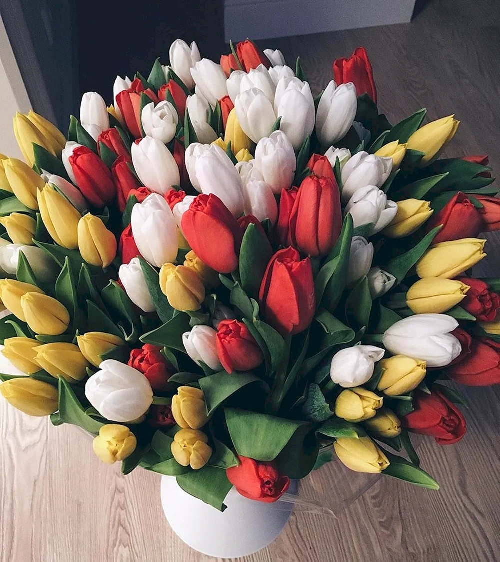 Расцветки тюльпанов