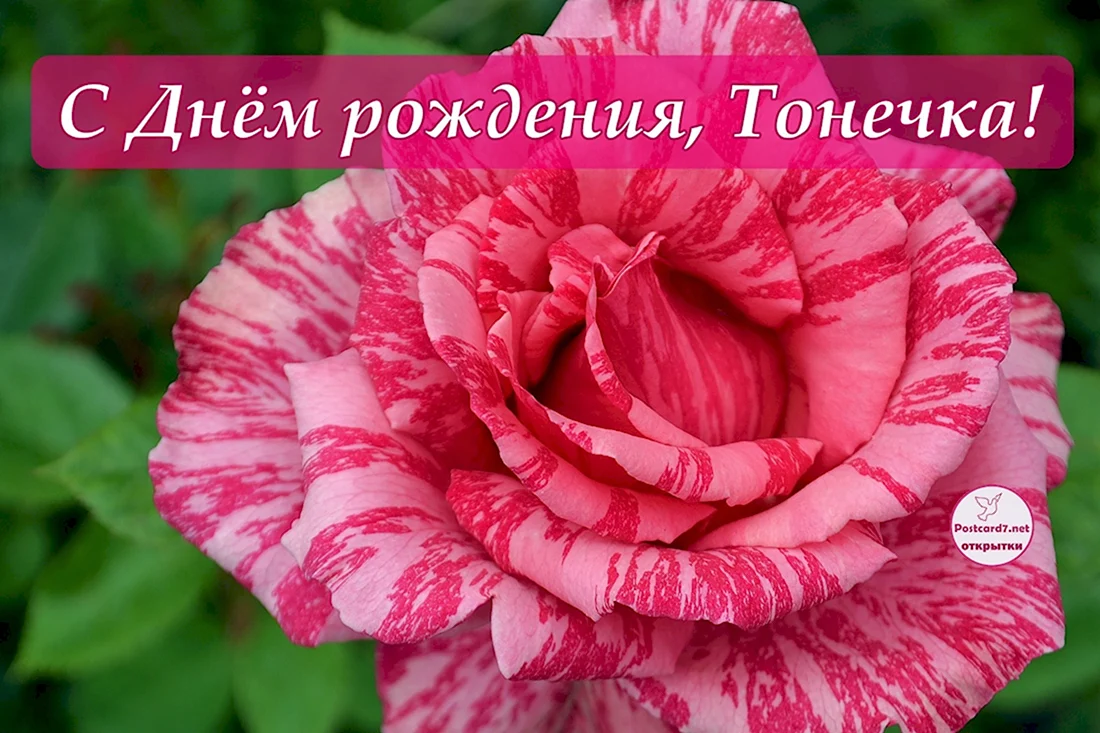 С днём рождения Тоня