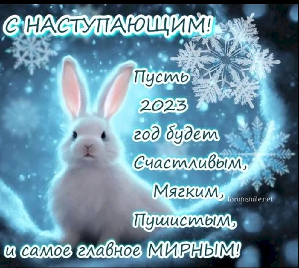 С новым годом кролика