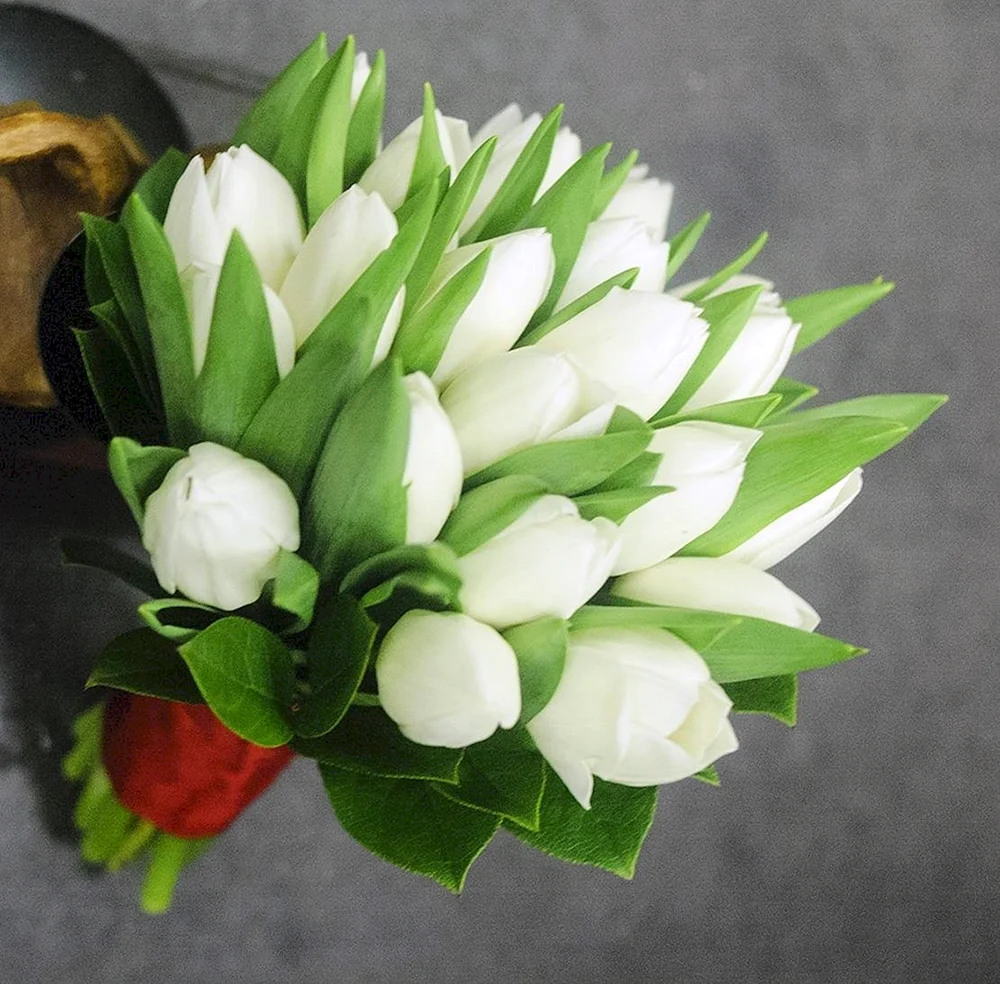 Свадебный букет из белых тюльпанов