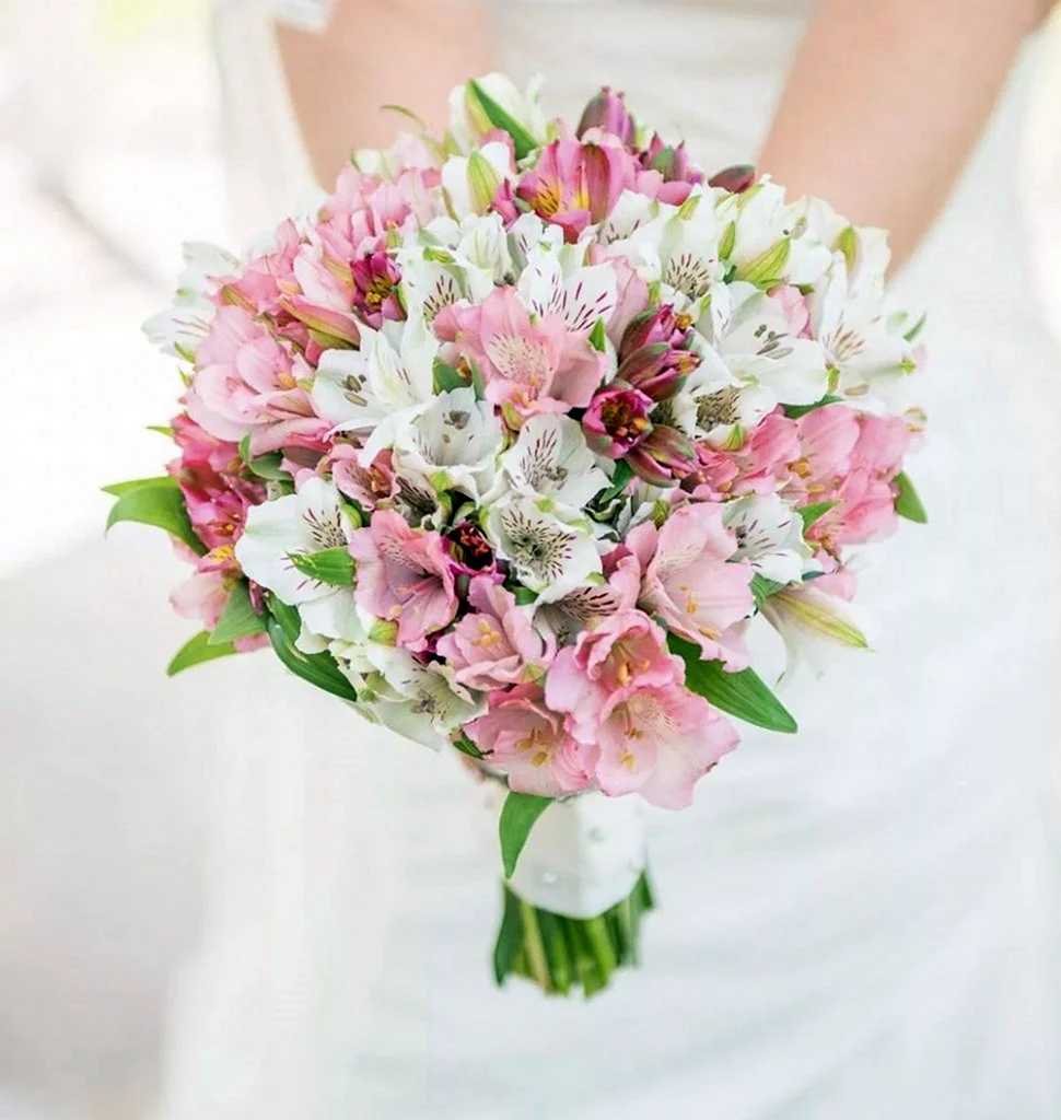 Цветы альстромерия букет невесты
