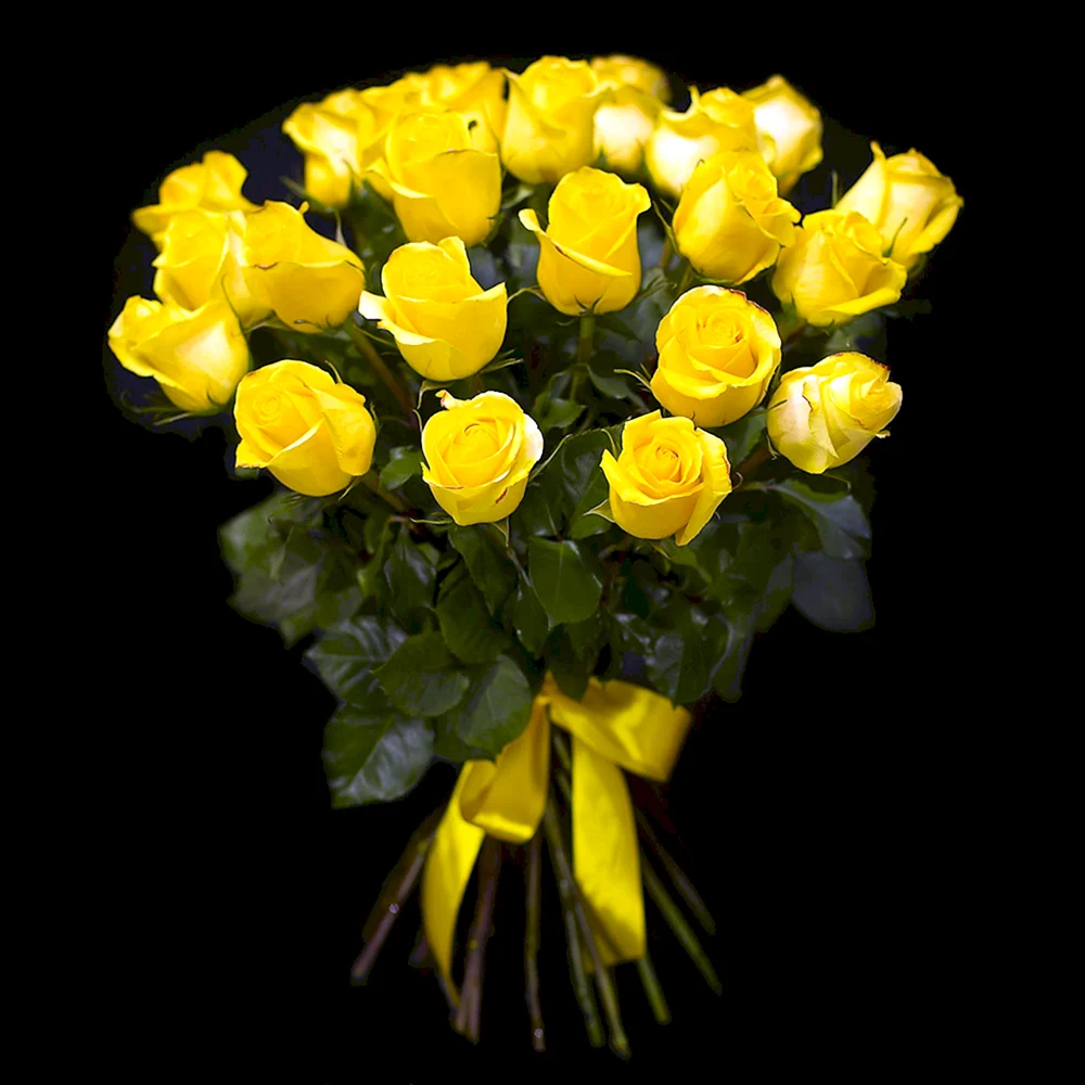 Желтая эквадорская роза