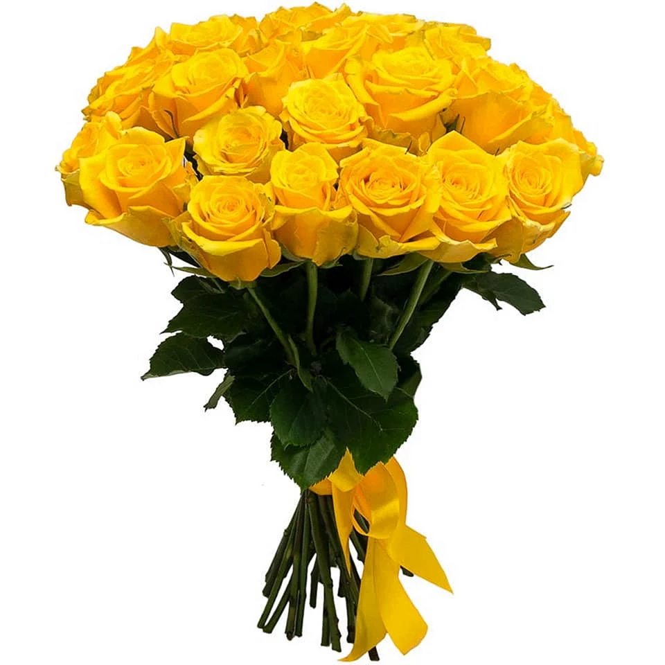 Желтые розы Эквадор